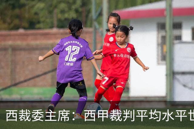 西裁委主席：西甲裁判平均水平世界最佳，误判难免